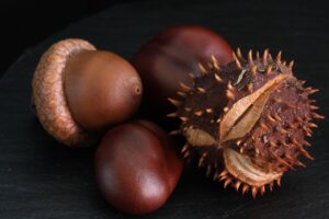 秋限定の高級フルーツ宝石箱が早割で購入できる店はどこ？